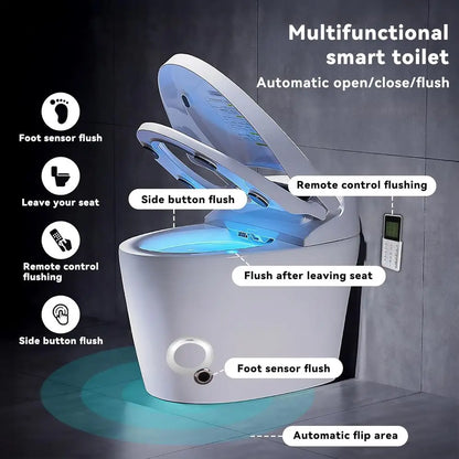 Toilet with Built-in Bidet, Tankless , Instant Warm Water Sprayer and Dryer, Heated Seat toilet with Lights