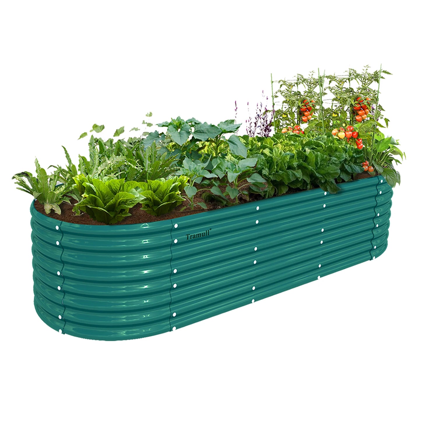 8x3x2FT Galvanized Raised Garden Bed Kit, Oval Outdoor Metal Ground Bottomless Planter Box