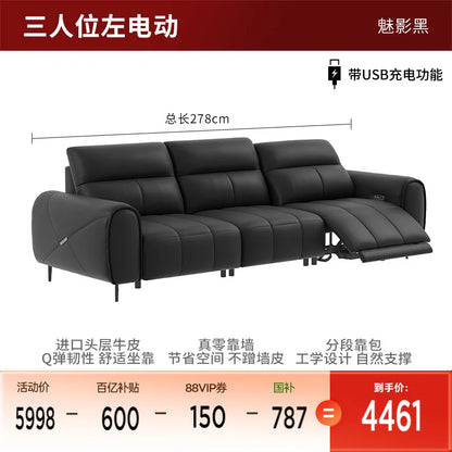Recliner Classic Sofa , Apartment Design Sofa Elegant Living Room