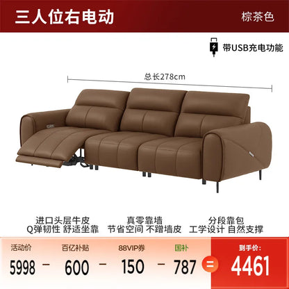 Recliner Classic Sofa , Apartment Design Sofa Elegant Living Room