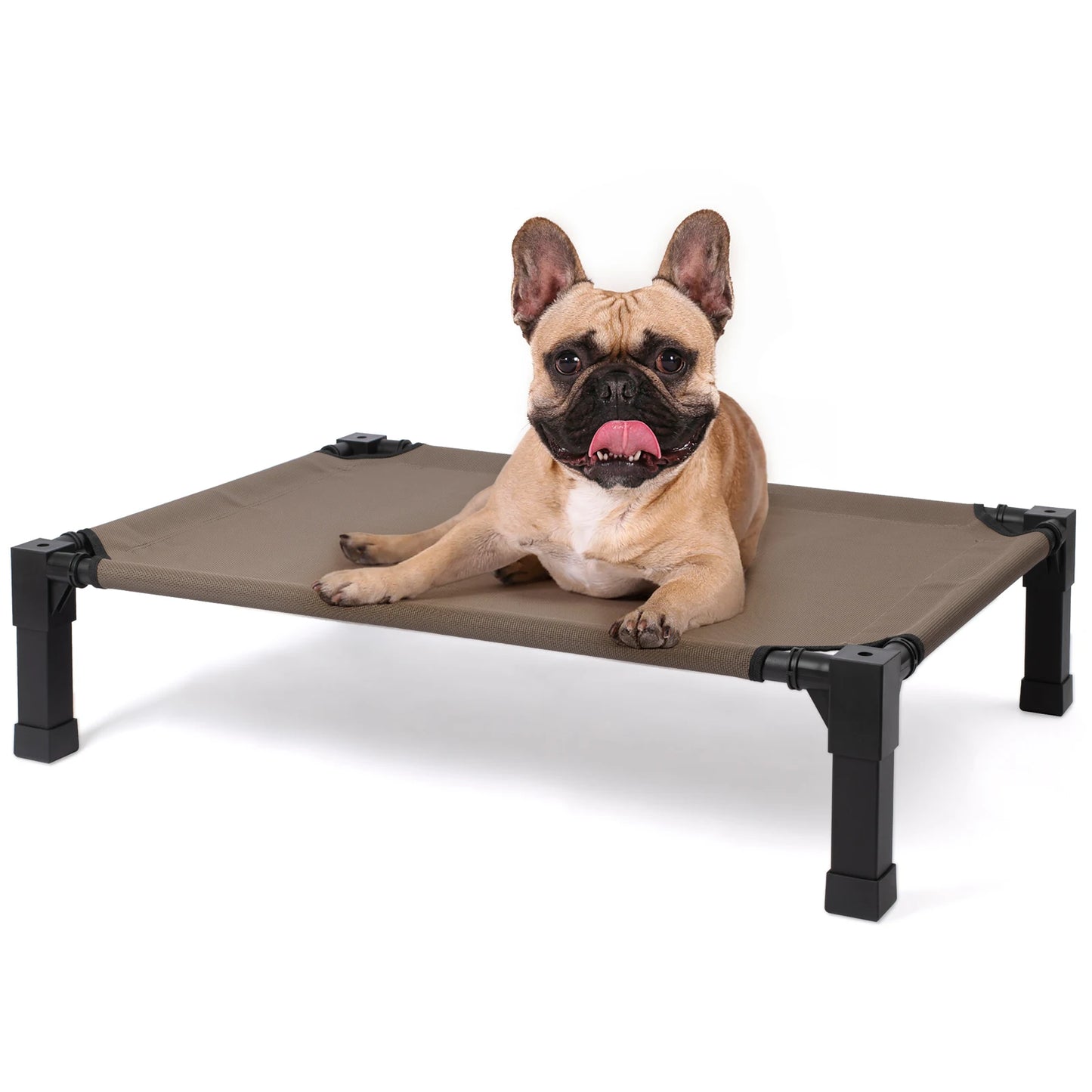 Elevated, Cooling Raised Pet Cot with Chew Proof Washable Breathable Mesh and Metal Frame, Portable