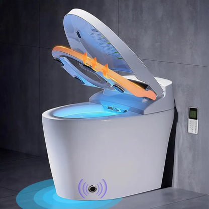 Toilet with Built-in Bidet, Tankless , Instant Warm Water Sprayer and Dryer, Heated Seat toilet with Lights